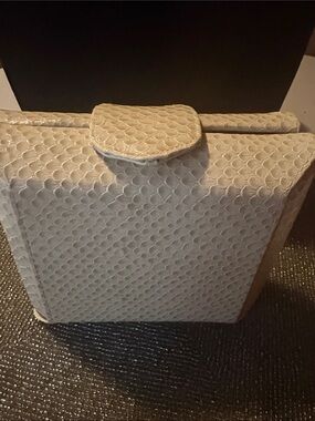Vintage Robert Bestien Snakeskin Clutch/Evening Bag With Strap